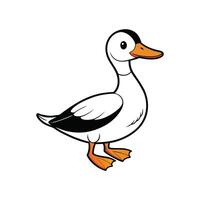 Cute cartoon duck illustration with white feathers and orange beak vector