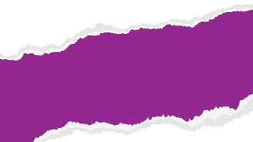 torn paper background purple color for photo frame vector