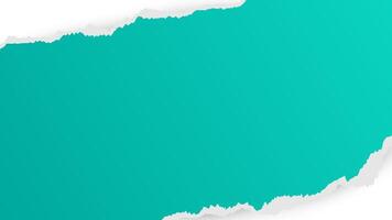 torn paper background green color vector