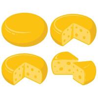 Assorted cheese wheels on white background isolated vector