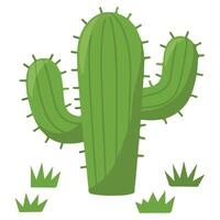 Prickly green cactus for Cinco de Mayo isolated illustration on white background vector
