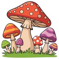 Collection of various mushroom types isolated illustration on white background vector