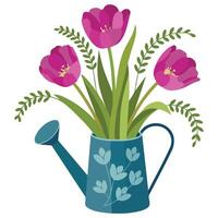 watering can with crocus flowers isolated illustration on white background vector