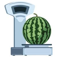 Fresh green fruit weighed on digital device isolated illustration vector