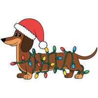 Christmas dachshund tangled in lights isolated illustration on white background vector