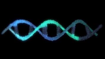 A close-up of the DNA double helix structure, in bright blue, showing its twisted ladder-like structure in looping motion. video