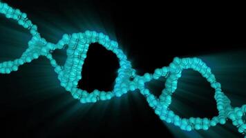 A close-up of the DNA double helix structure, highlighted in blue on a black background, showing its twisted ladder-like structure in looping motion. video