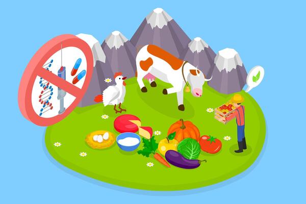 3D Isometric Flat Illustration of Organic Farming, Products Without Antibiotics, Hormones, or GMO Ingredients