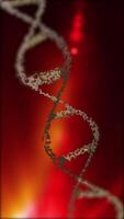 A close-up of the DNA double helix structure, highlighted in silver on a red background, showing its twisted ladder-like structure in looping motion. video