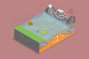 3D Isometric Flat Illustration of Structure of Oceanic Basin, Educational Schema vector
