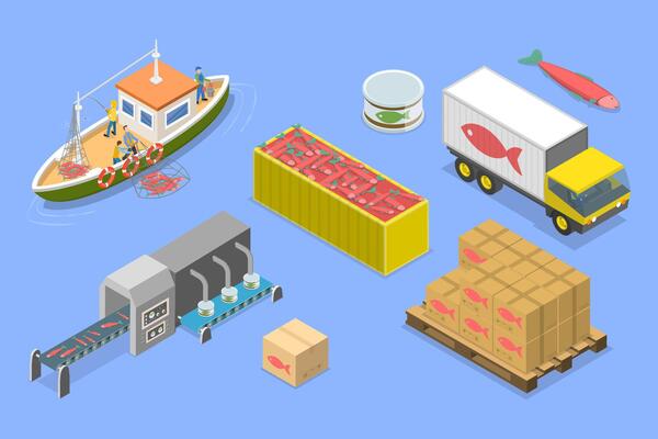 3D Isometric Flat Set of Fish Production , Fishing Industry
