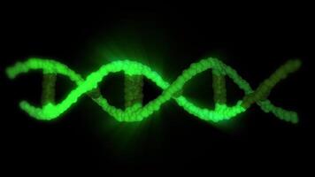A close-up of the DNA double helix structure, in bright green, showing its twisted ladder-like structure in looping motion. video