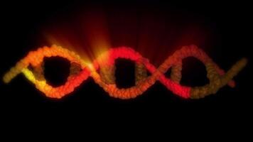 A close-up of the DNA double helix structure, in bright gold color, showing its twisted ladder-like structure in looping motion. video