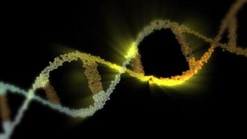 A close-up of the DNA double helix structure, in gold, showing its twisted ladder-like structure in looping motion. video