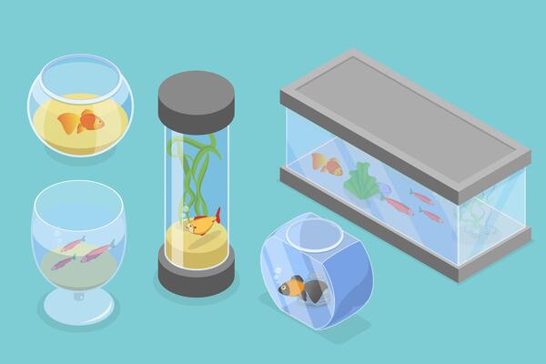 3D Isometric Flat Set of Home Aquariums, Aquatic Pet Containers