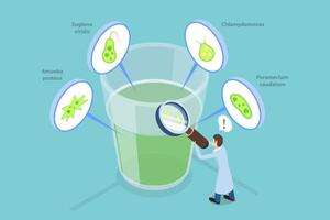 3D Isometric Flat Illustration of Microscopic Unicellular Organisms, Educational Chart vector
