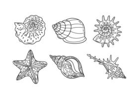 A set of seashells and starfish of various shapes, illustration. Contour drawing of isolated elements on a white background for a designer clipart template. illustration vector