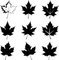 Various black maple leaf silhouettes display against white backdrop, providing botanical variety for creative use vector