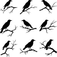 Several black silhouettes of crows perch on bare branches against a stark white background vector