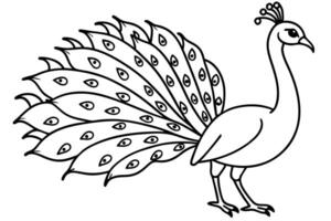 Outlined peacock displays its plumage feathers, each adorned with eyelike markings for a striking appearance vector