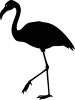Black flamingo is captured in silhouette gracefully walking with its distinctive curved beak vector