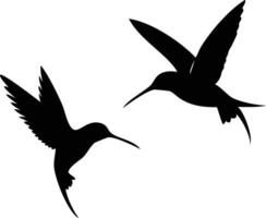Two silhouette hummingbirds gracefully fly and hover, displaying intricate wing details against a white backdrop vector
