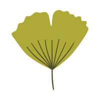 Ginkgo leaf in green color. One element isolated on white. Spring or summer background, illustration vector