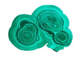 Abstract Green Malachite Geode Slice Illustration with Concentric Circular Layers vector