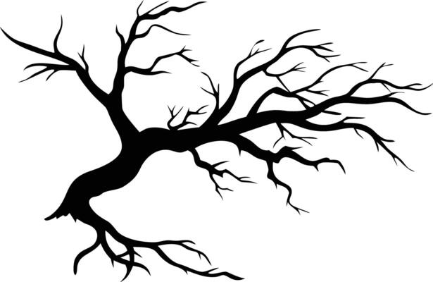 Silhouette of an old, leafless tree exhibits a stark beauty against the plain backdrop