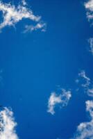 A palm tree with a kite flying in the sky photo