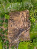 An aerial view of a forest with trees and dirt photo