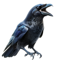 Mysterious black raven perched ominously a bird associated mystery On Transparent Background png