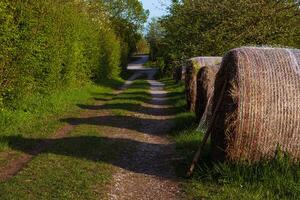 Rural countryside path with row of the hay bales, wrapped in plastic mesh. Green trees in spring light along a country path, 12 photo