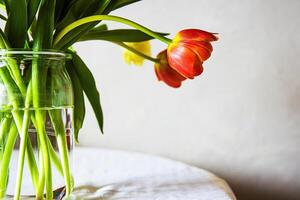 A bright bouquet of red tulips in a clear glass vase placed on a white round table against a neutral background. Shallow depth of field. Soft focus 07 photo