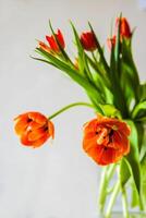 A bright bouquet of red tulips in a clear glass vase placed on a white round table against a neutral background. Shallow depth of field. Soft focus 15 photo