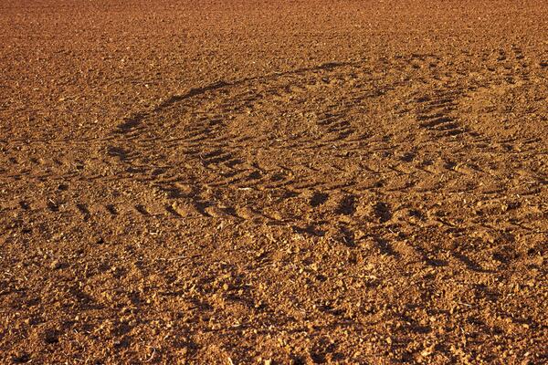 Closeup of a plowed agricultural field with curved tire tracks from farming machinery. Soil texture in sunset light. 01