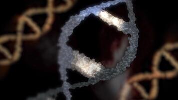 A close-up of the DNA double helix structure, with bokeh effect, showing its twisted ladder-like structure in looping motion. video