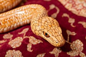Close-Up of Beautiful Albino Snake on Ornate Fabric with Intricate Patterns and Rich Color, Showcasing Unique Texture and Captivating Eyes, Perfect for Nature and Wildlife Enthusiasts photo
