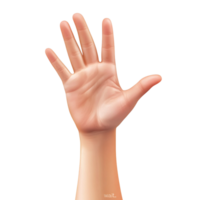 Caucasian adult hand with open palm and fingers raised on transparent background, concept of stop, greeting, or high five png