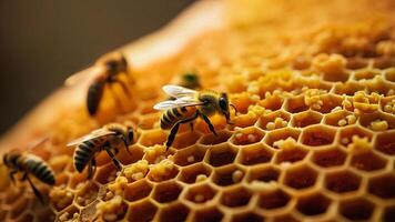 Macro View of Bees on Honeycomb Structure photo