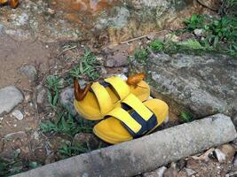 A pair of yellow sandals laying on the ground photo