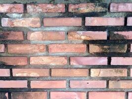 Close up showing an old brick wall that is rough and sturdy, making us feel its age and stories it holds. Its textured surface displays sense of resilience and timelessness photo