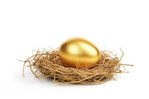 Golden egg in nest on white background photo