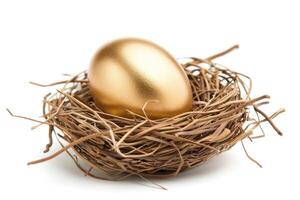 Golden egg in nest isolated on white background photo