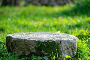 A stone sitting in the grass with grass around it photo