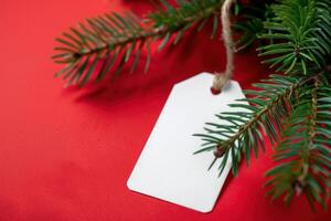 A white tag hanging from a branch of fir tree photo