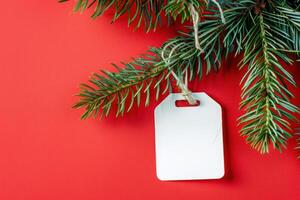 Christmas tree branch with tag on red background photo