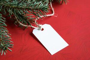 A white tag hanging from a branch of fir photo