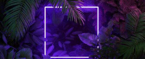 The Neon Frame Surrounded by Lush Tropical Foliage and Vivid Colors photo
