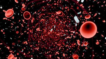 A Dynamic Visualization of Blood Flow Featuring Red Blood Cells in Detailed Motion and Texture video